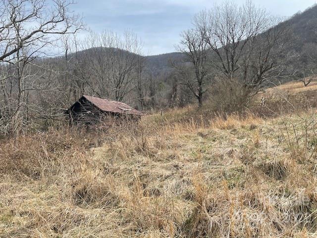 999 Bunny Run Road Canton, NC 28716 - Photo 7 of 48 Gallery Image 7