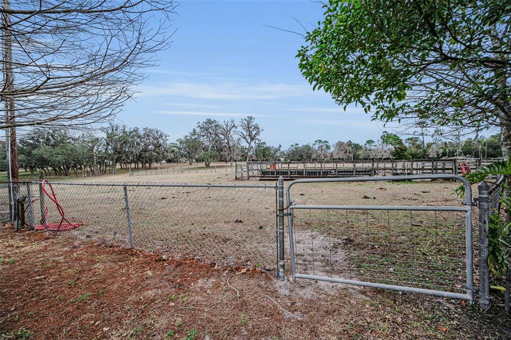 7230 Old Homestead Road New Port Richey, FL 34654 - Photo 84 of 99 Gallery Image 84