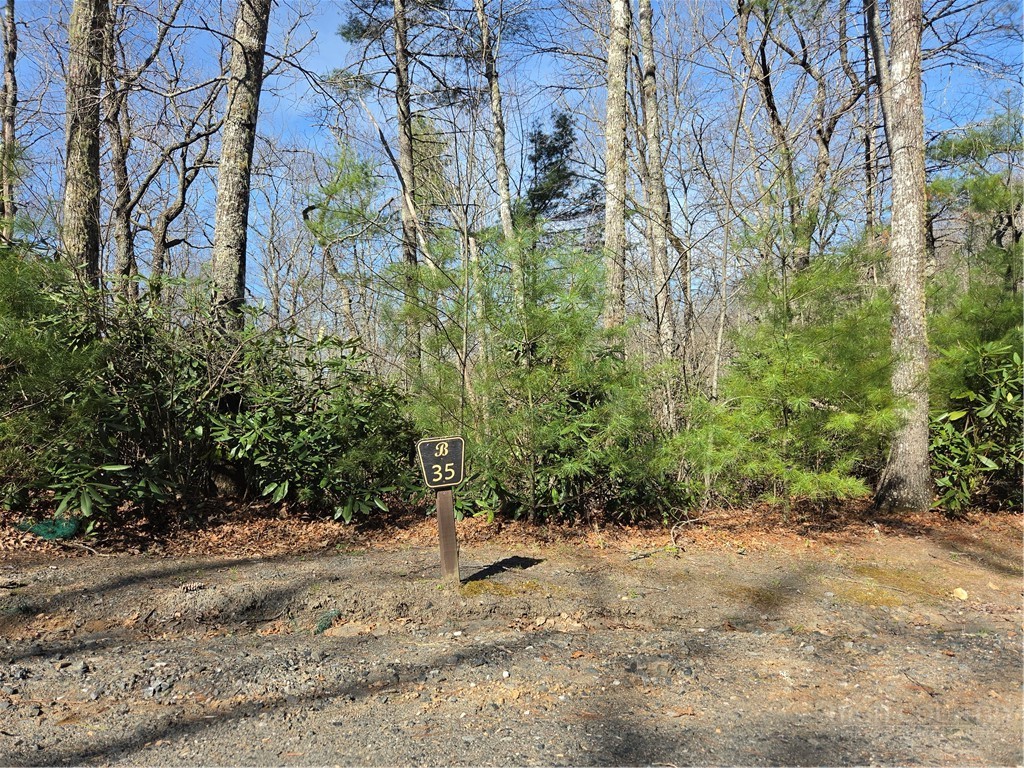 Lot 35 Smoke Rise Path West Jefferson, NC 28694 - Photo 4 of 38 a view of a pathway with a tree