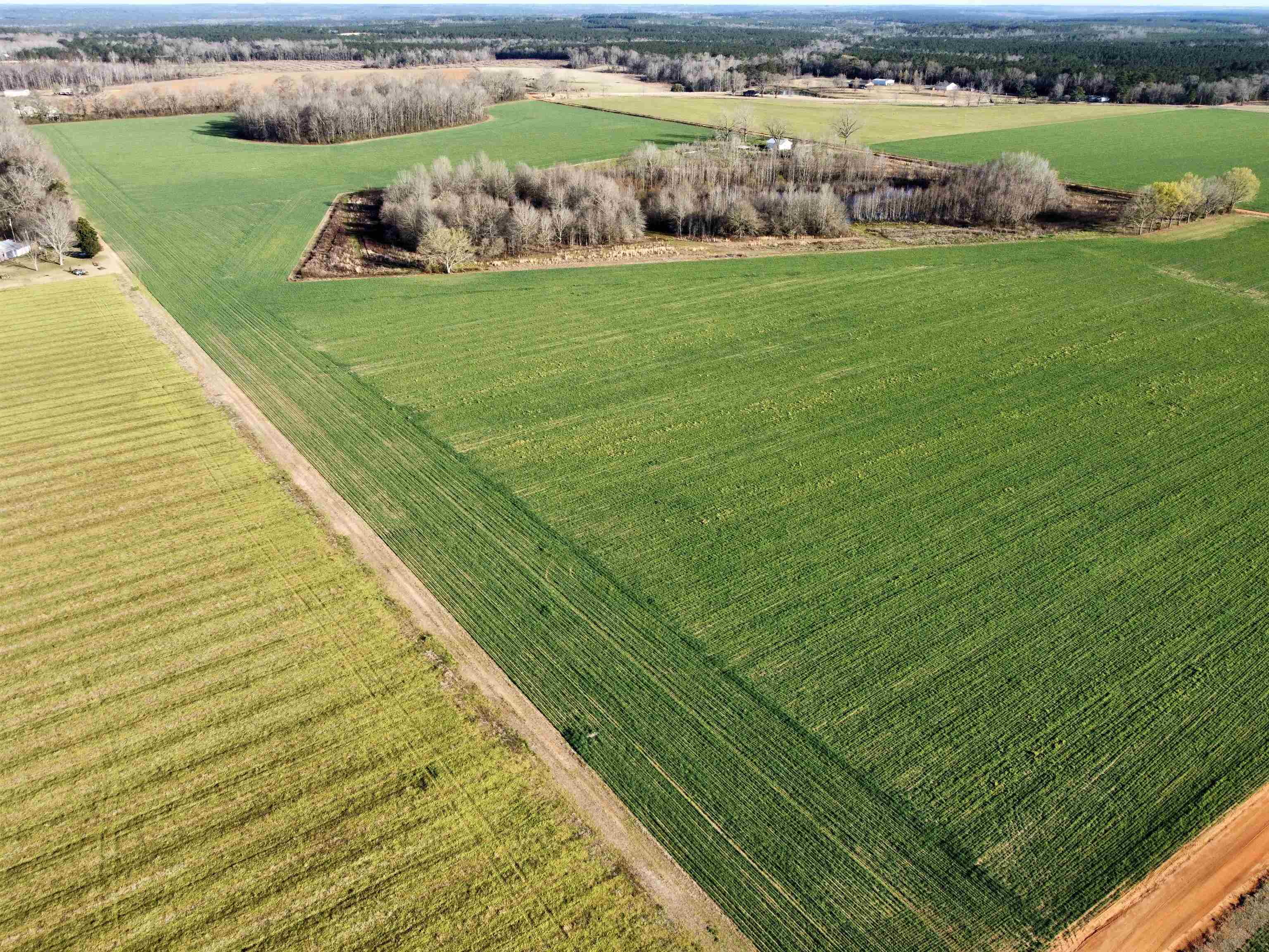 0 Country Road Atmore, AL 36502 - Photo 17 of 27