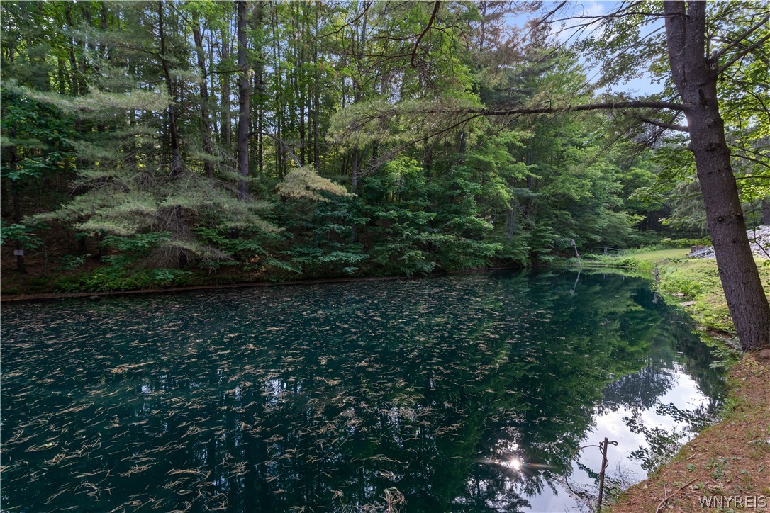 9173 Lyman Road Clarksville, NY 14727 - Photo 43 of 48 Pond