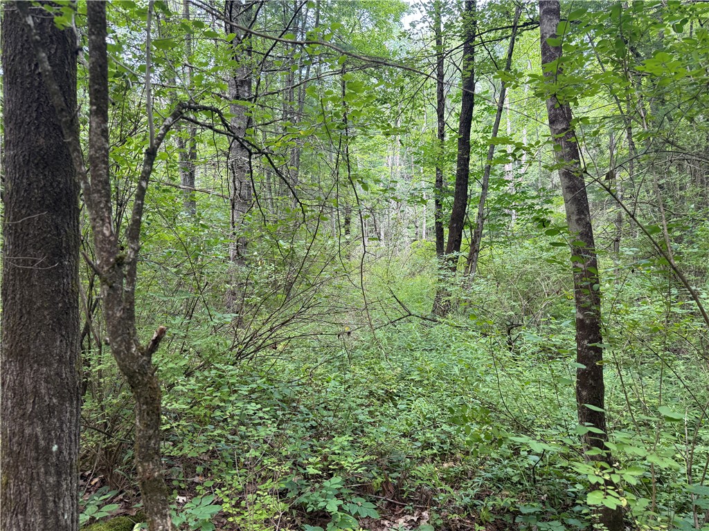 West Whitcomb Road Barton, NY 13734 - Photo 11 of 26 Gallery Image 11