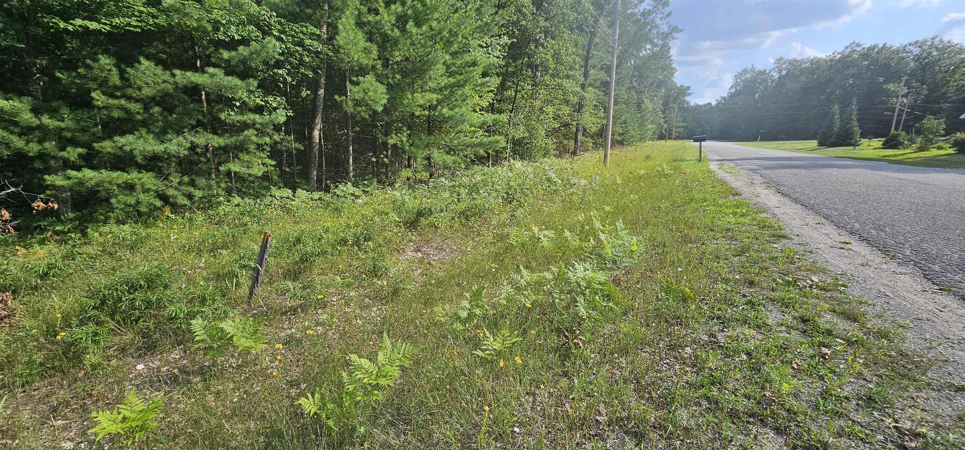 0 Wilderness Road Alger, MI 48610 - Photo 2 of 8