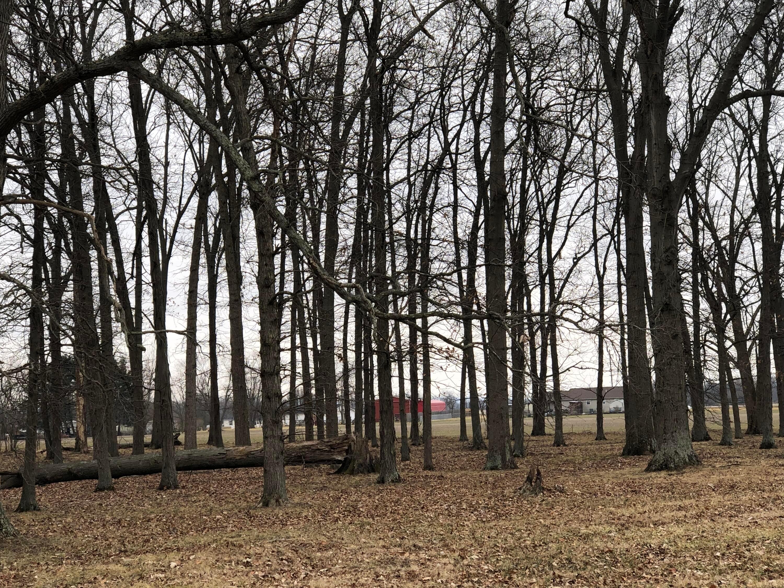 Lot #3 Zane Trail Road Circleville, OH 43113 - Photo 3 of 4 IMG_8937