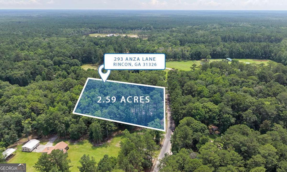 293 Anza Lane Rincon, GA 31326 - Photo 6 of 33