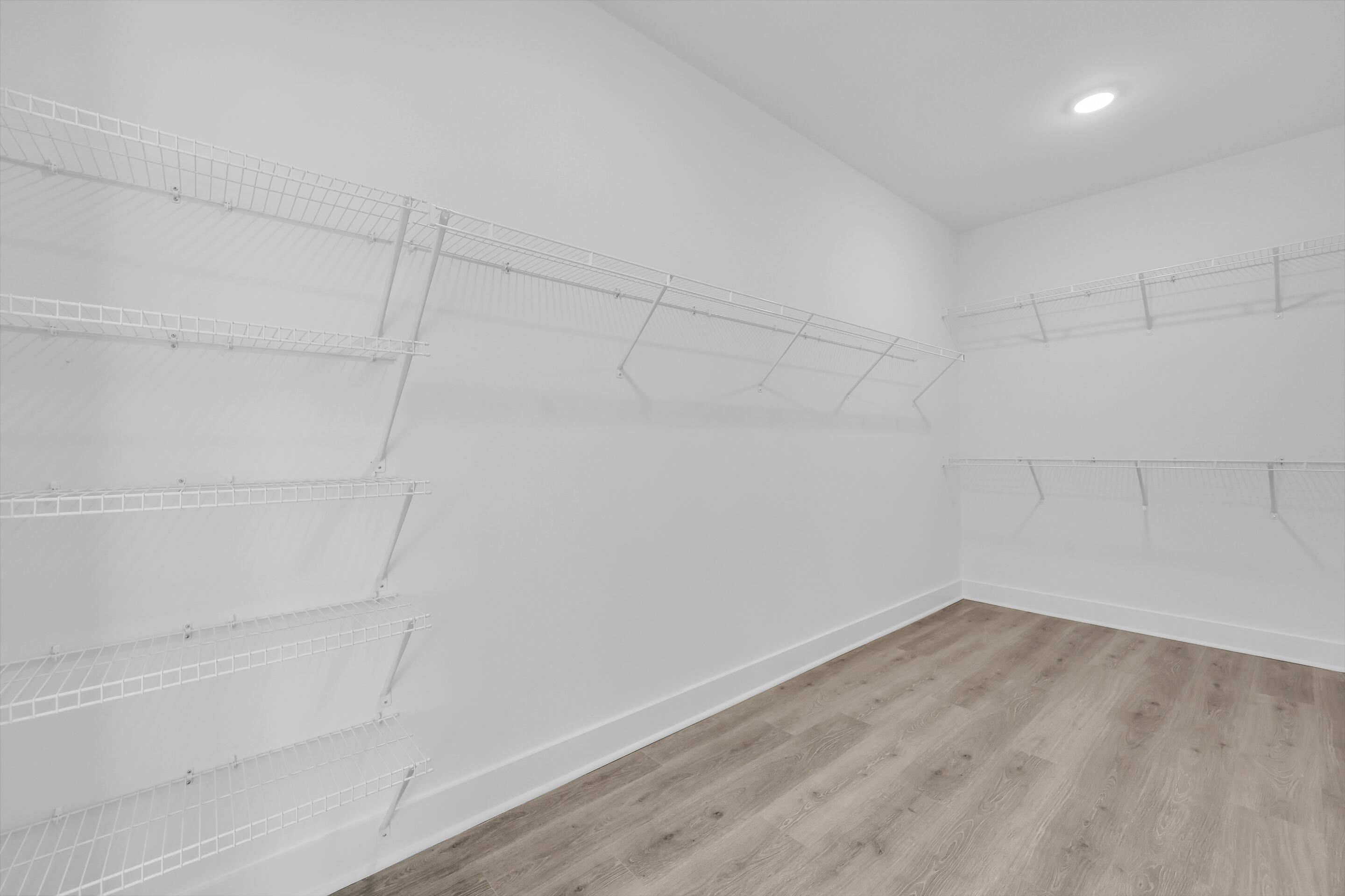 2319 Minifarm Way, Unit 519 Mount Pleasant, SC 29466 - Photo 22 of 51 primary walk in closet