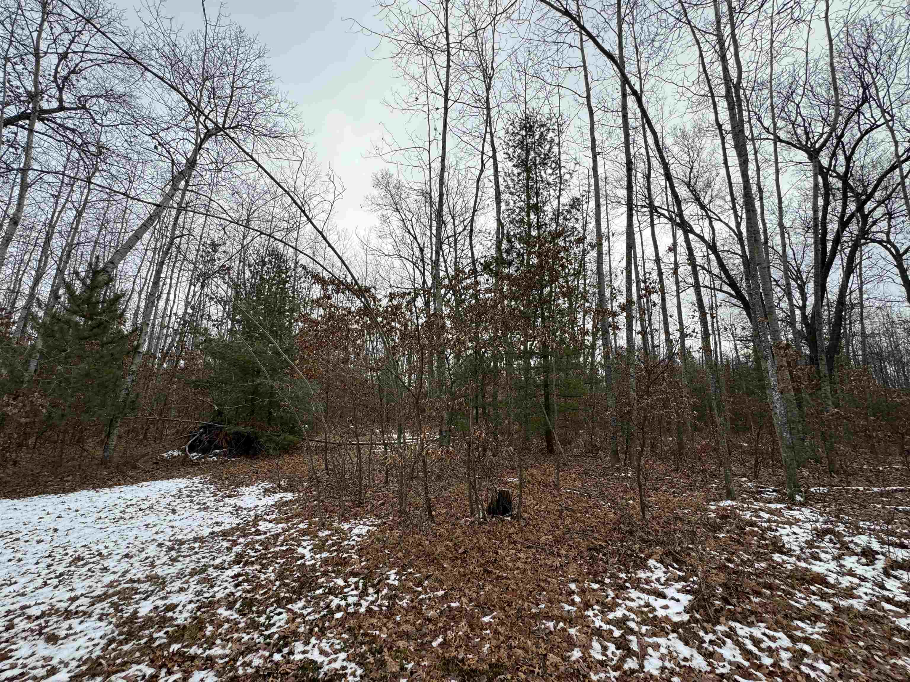 0 Lagrant Road Sterling, MI 48659 - Photo 11 of 31