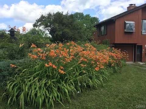 5251 Irish Ridge Road Fenner, NY 13037 - Photo 2 of 35