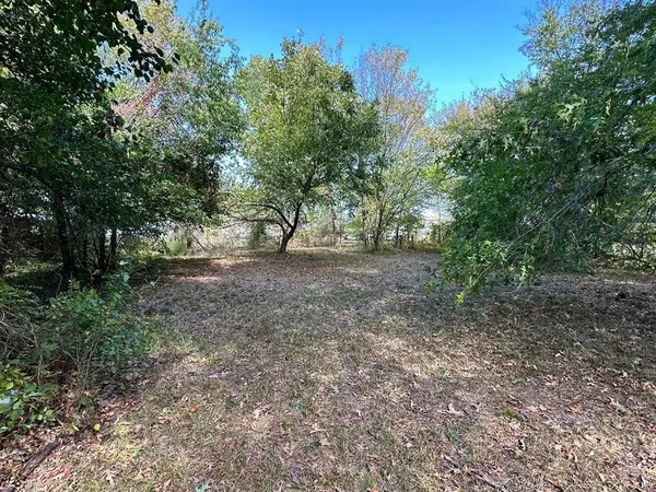 a view of a forest with trees in the background