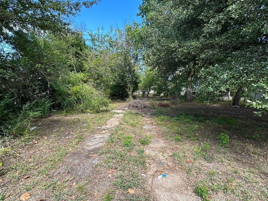 1306 South 5th Street Bonham, TX 75418 - Photo 11 of 13 a view of a yard with plants and large trees