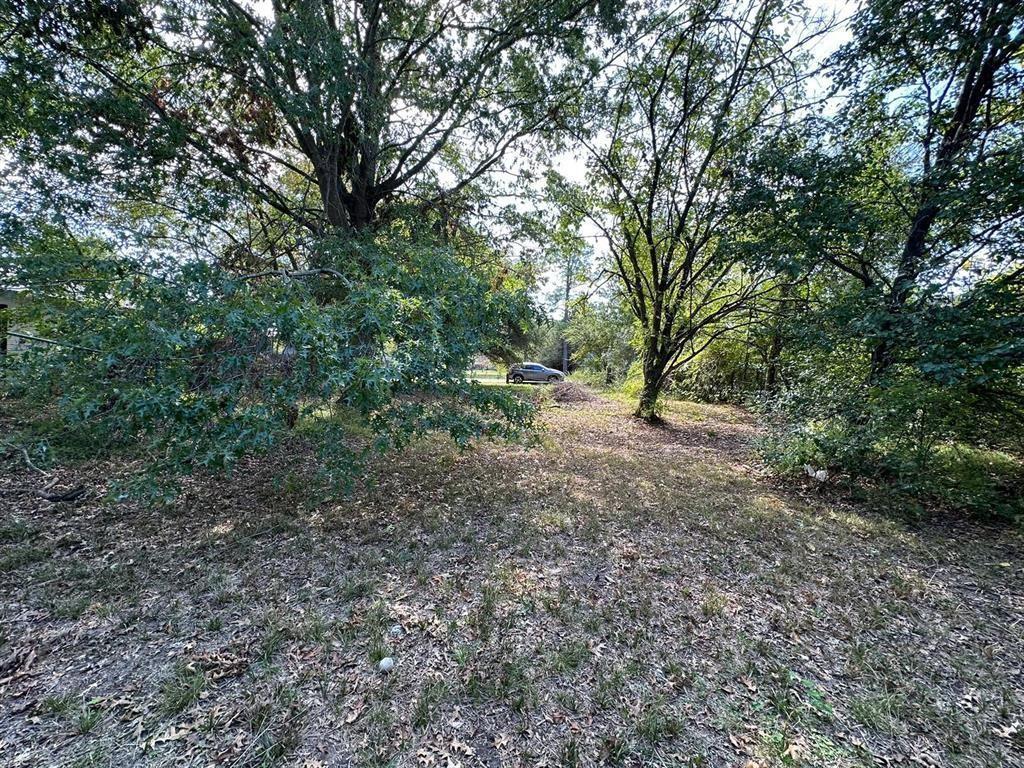 1306 South 5th Street Bonham, TX 75418 - Photo 2 of 13 a view of a forest with trees in the background