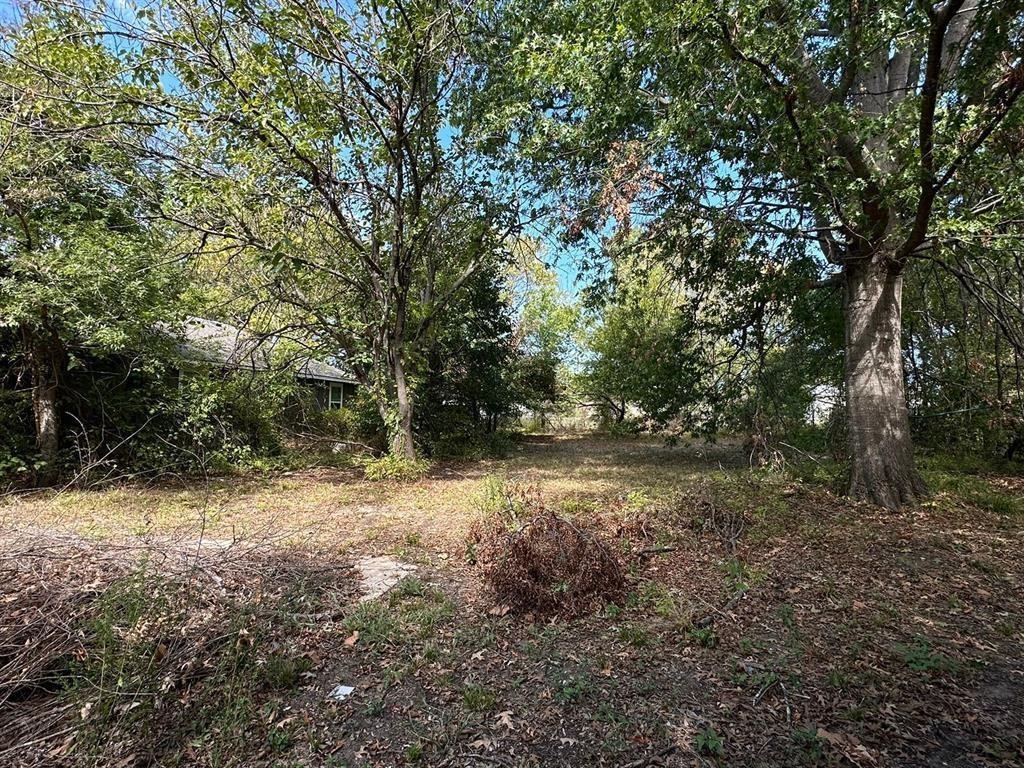 1306 South 5th Street Bonham, TX 75418 - Photo 3 of 13 a view of a yard with a tree
