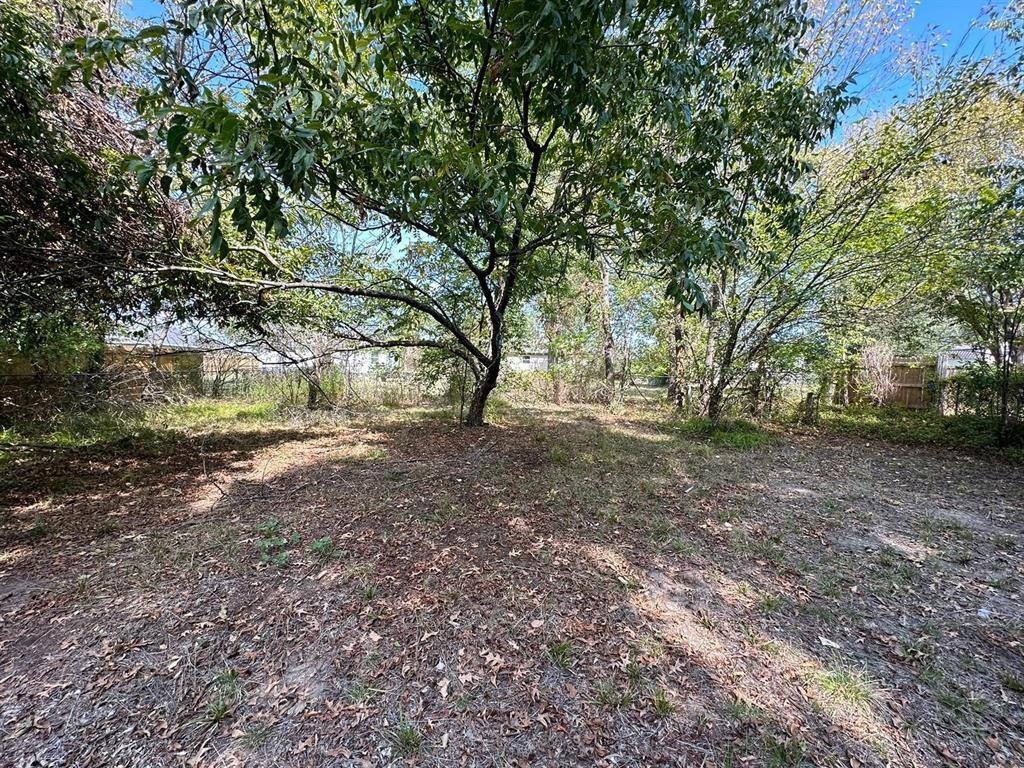 1306 South 5th Street Bonham, TX 75418 - Photo 4 of 13 a view of dirt yard with a tree