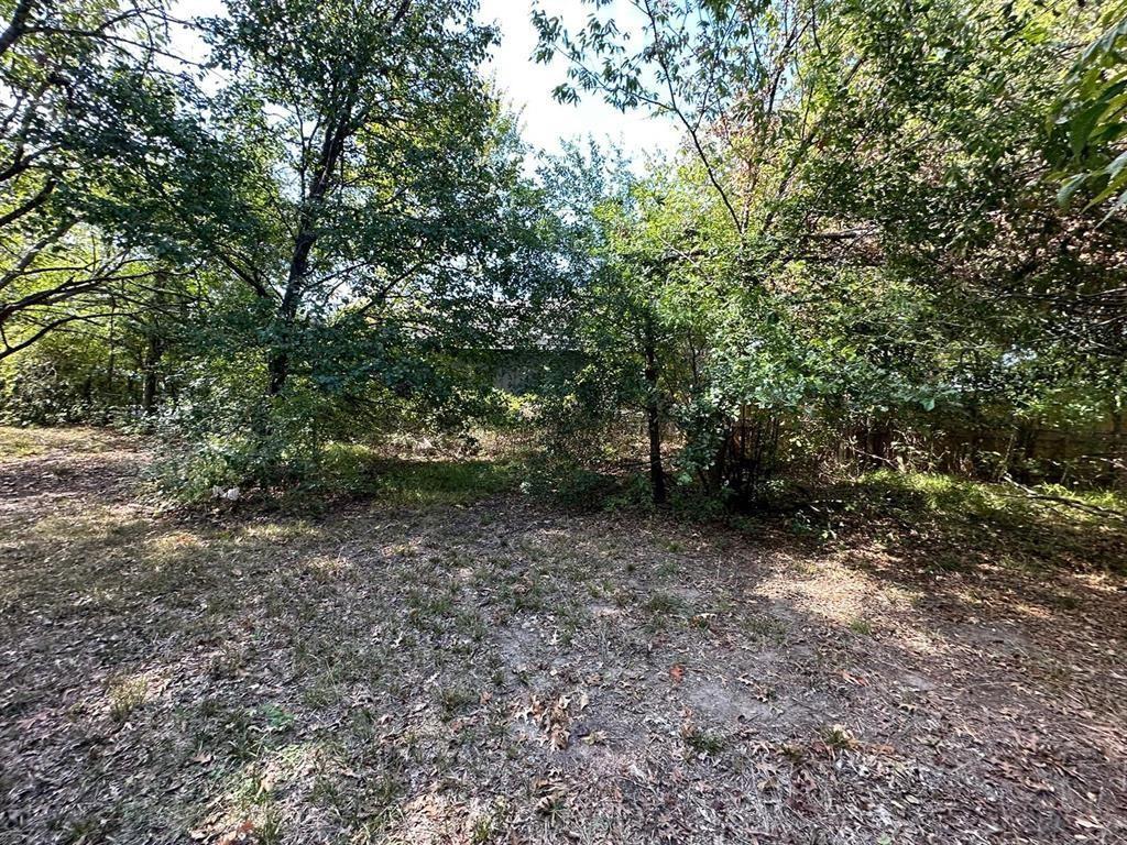 1306 South 5th Street Bonham, TX 75418 - Photo 5 of 13 a view of a forest with trees in the background
