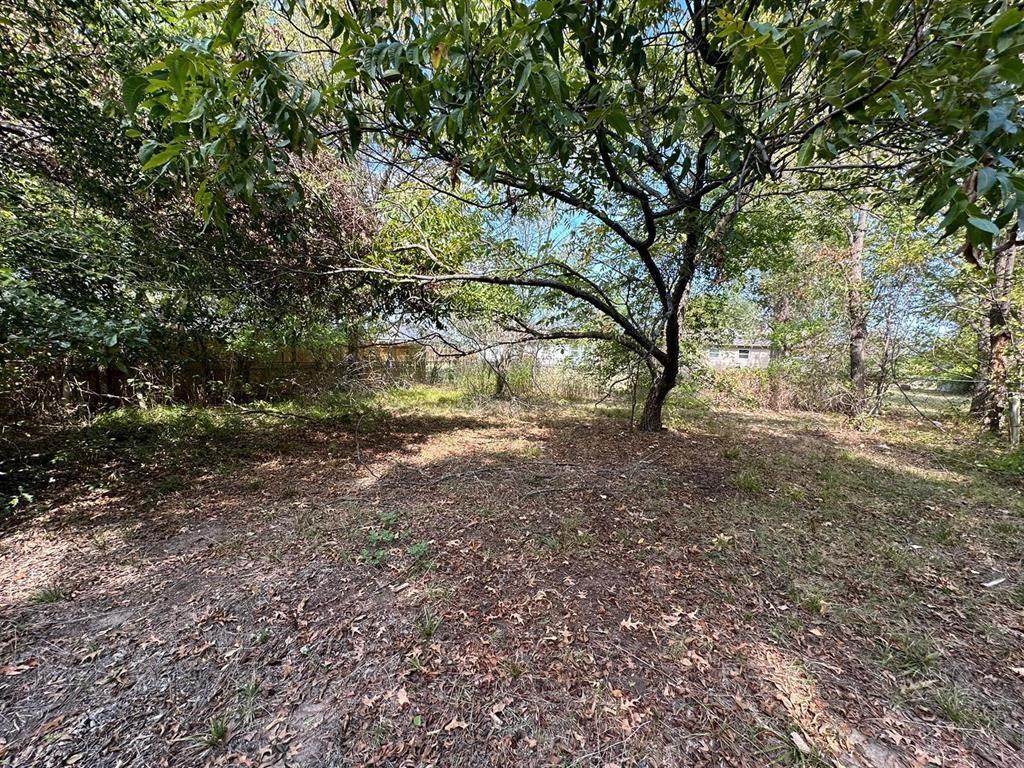 1306 South 5th Street Bonham, TX 75418 - Photo 6 of 13 a view of outdoor space and yard