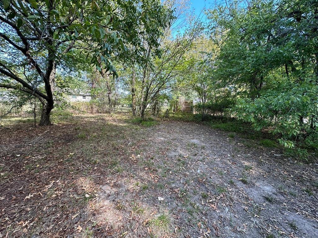 1306 South 5th Street Bonham, TX 75418 - Photo 7 of 13 a view of a forest with trees in the background