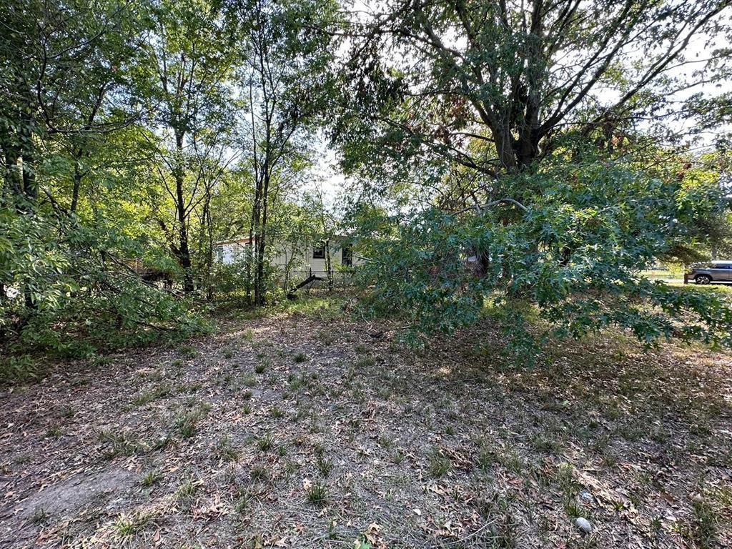 1306 South 5th Street Bonham, TX 75418 - Photo 8 of 13 a view of a forest with trees in the background