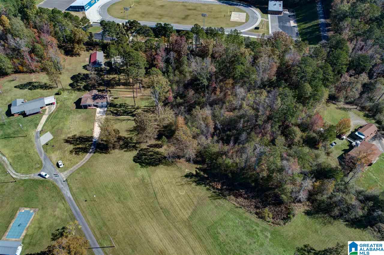 313 Old Black Crk Road Birmingham, AL 35217 - Photo 7 of 49