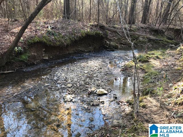 3111 Jackson Road, Unit 75 ACRES Pinson, AL 35126 - Photo 13 of 16