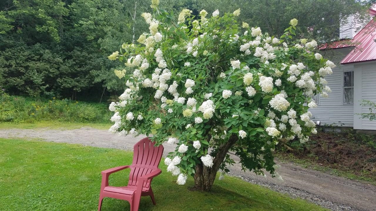 39 Brooks Place Glover, VT 05839 - Photo 11 of 28