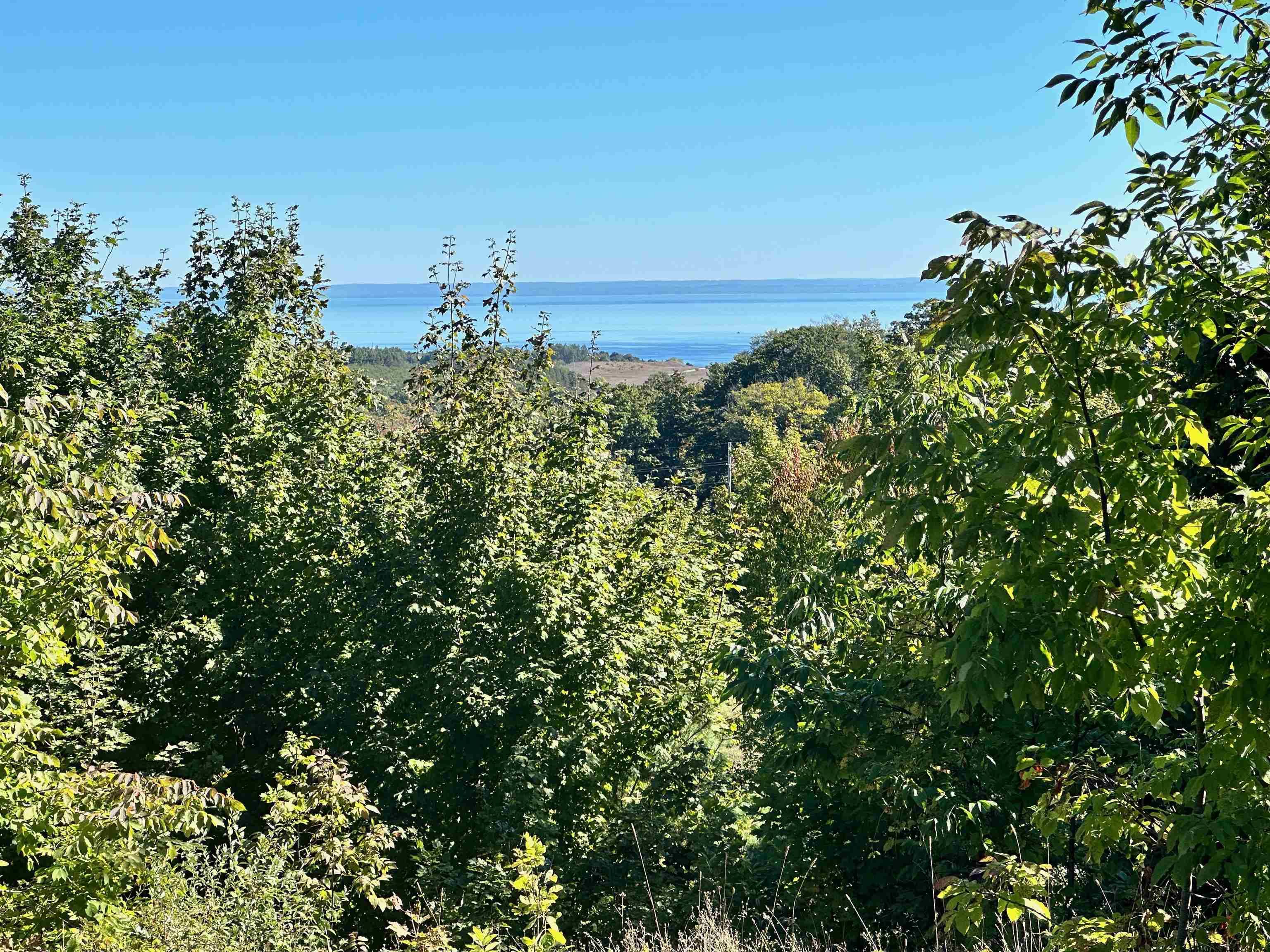 9224 East Duck Lake Road Suttons Bay, MI 49682 - Photo 32 of 63