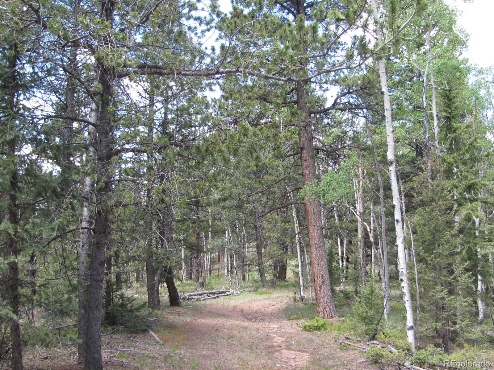 8 Kutsu Ridge Road Florissant, CO 80816 - Photo 1 of 19 Gallery Image 1