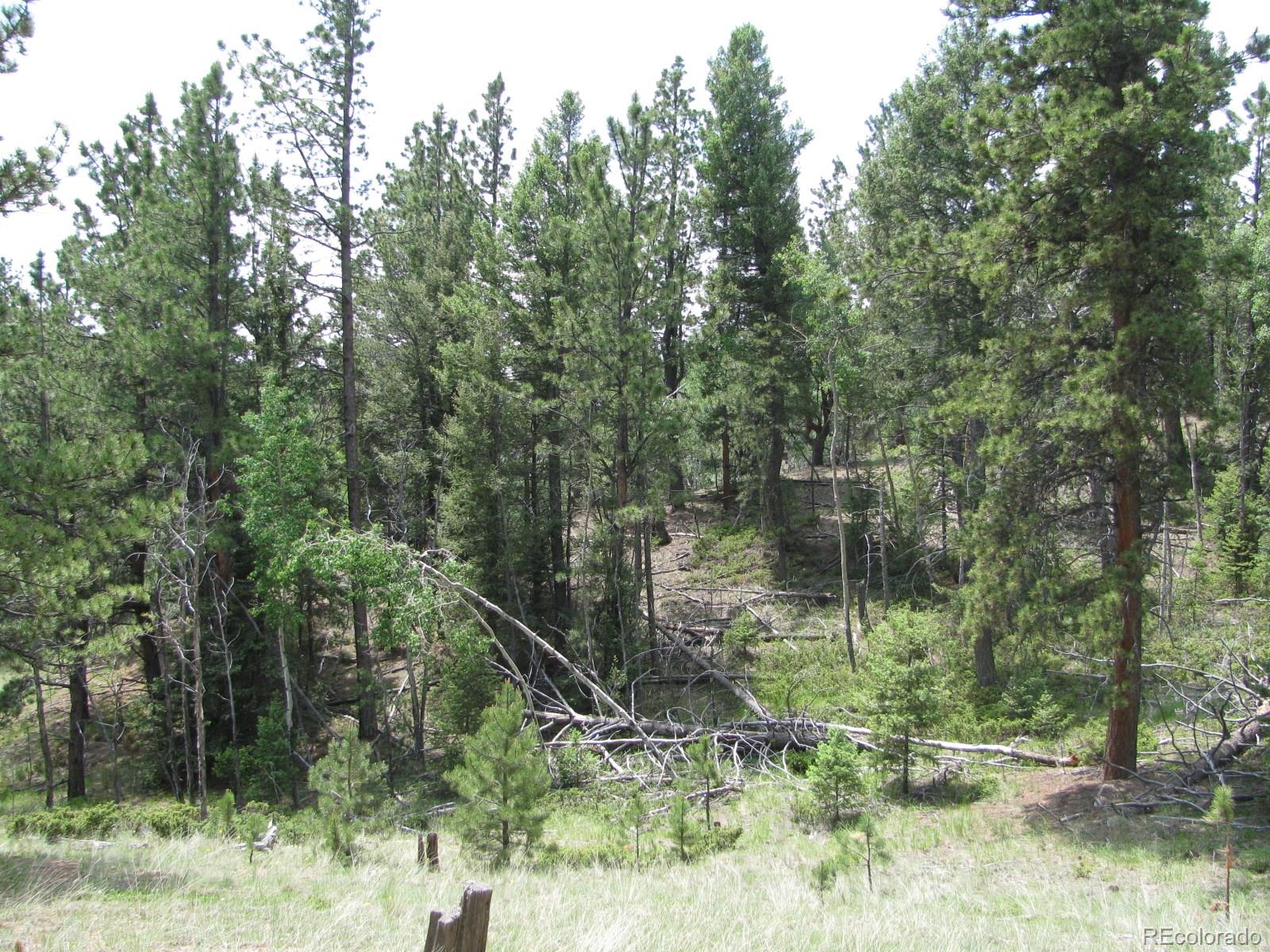 8 Kutsu Ridge Road Florissant, CO 80816 - Photo 11 of 19 Gallery Image 11