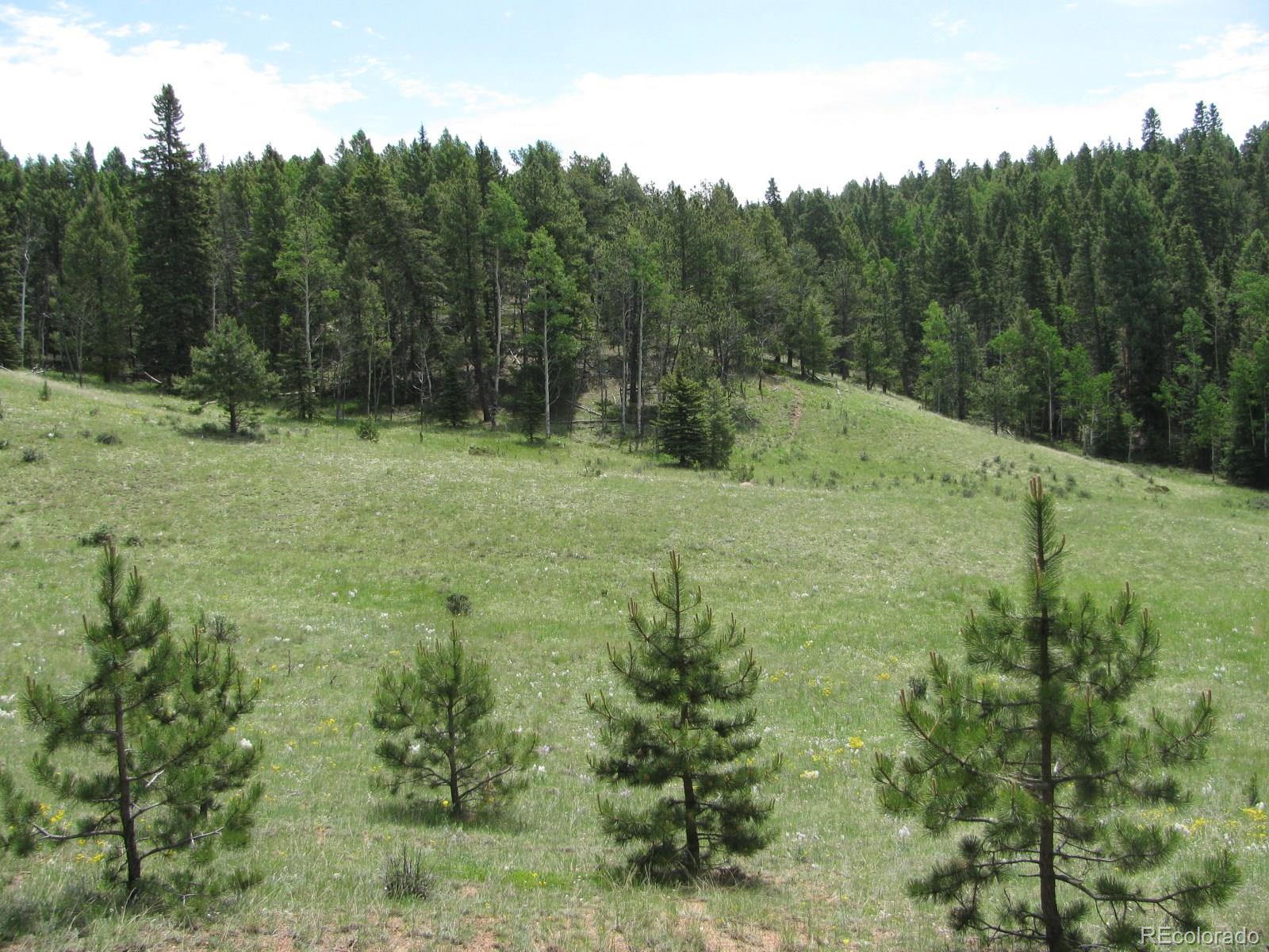 8 Kutsu Ridge Road Florissant, CO 80816 - Photo 12 of 19 Gallery Image 12