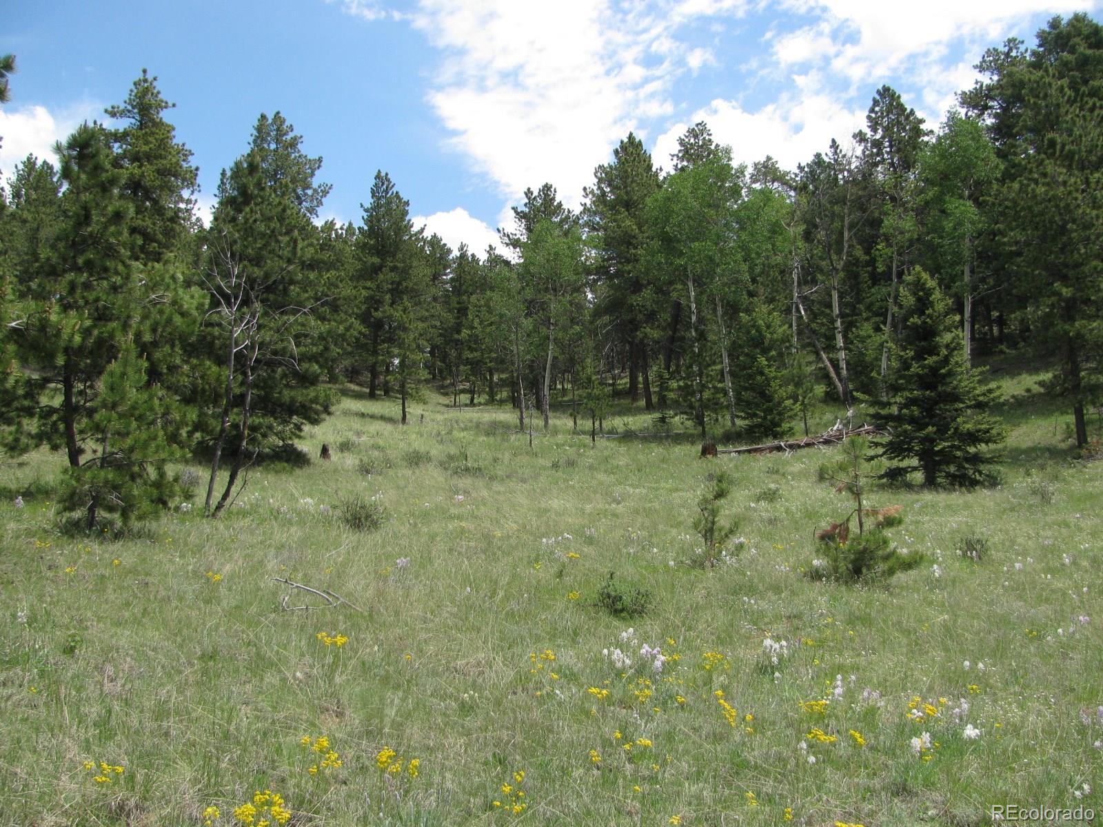 8 Kutsu Ridge Road Florissant, CO 80816 - Photo 13 of 19 Gallery Image 13