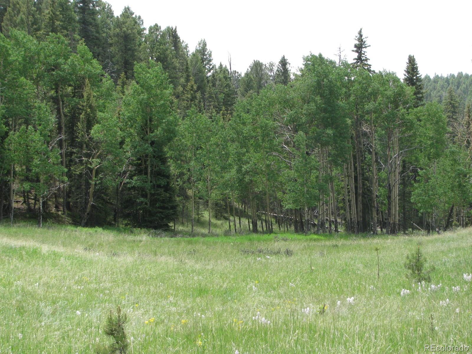 8 Kutsu Ridge Road Florissant, CO 80816 - Photo 14 of 19 Gallery Image 14