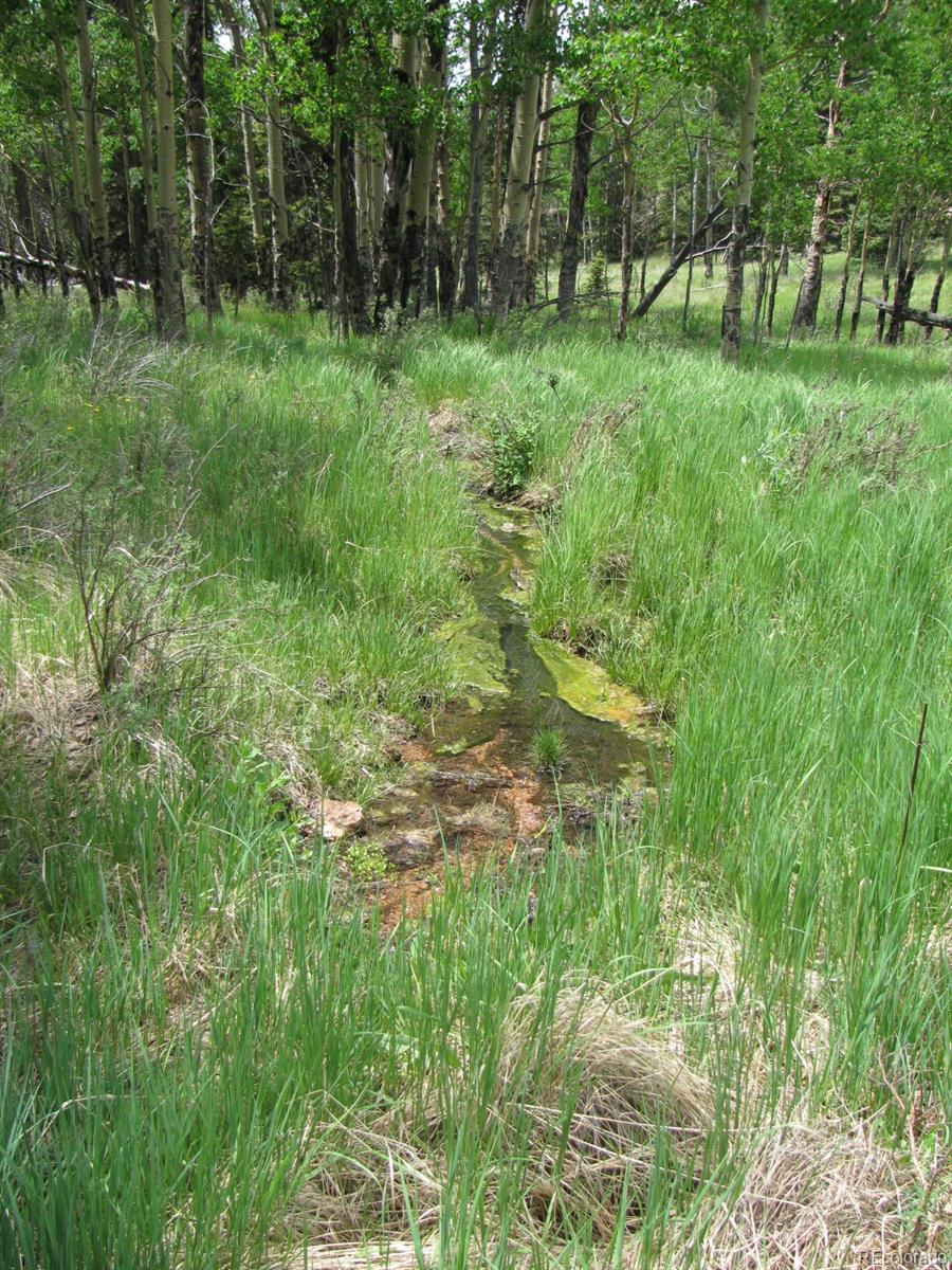 8 Kutsu Ridge Road Florissant, CO 80816 - Photo 15 of 19 Gallery Image 15