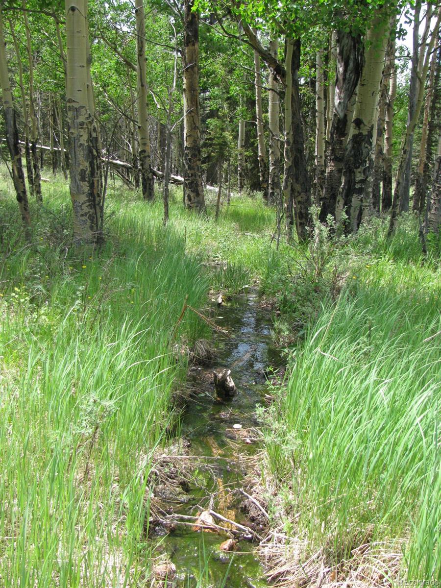 8 Kutsu Ridge Road Florissant, CO 80816 - Photo 16 of 19 Gallery Image 16