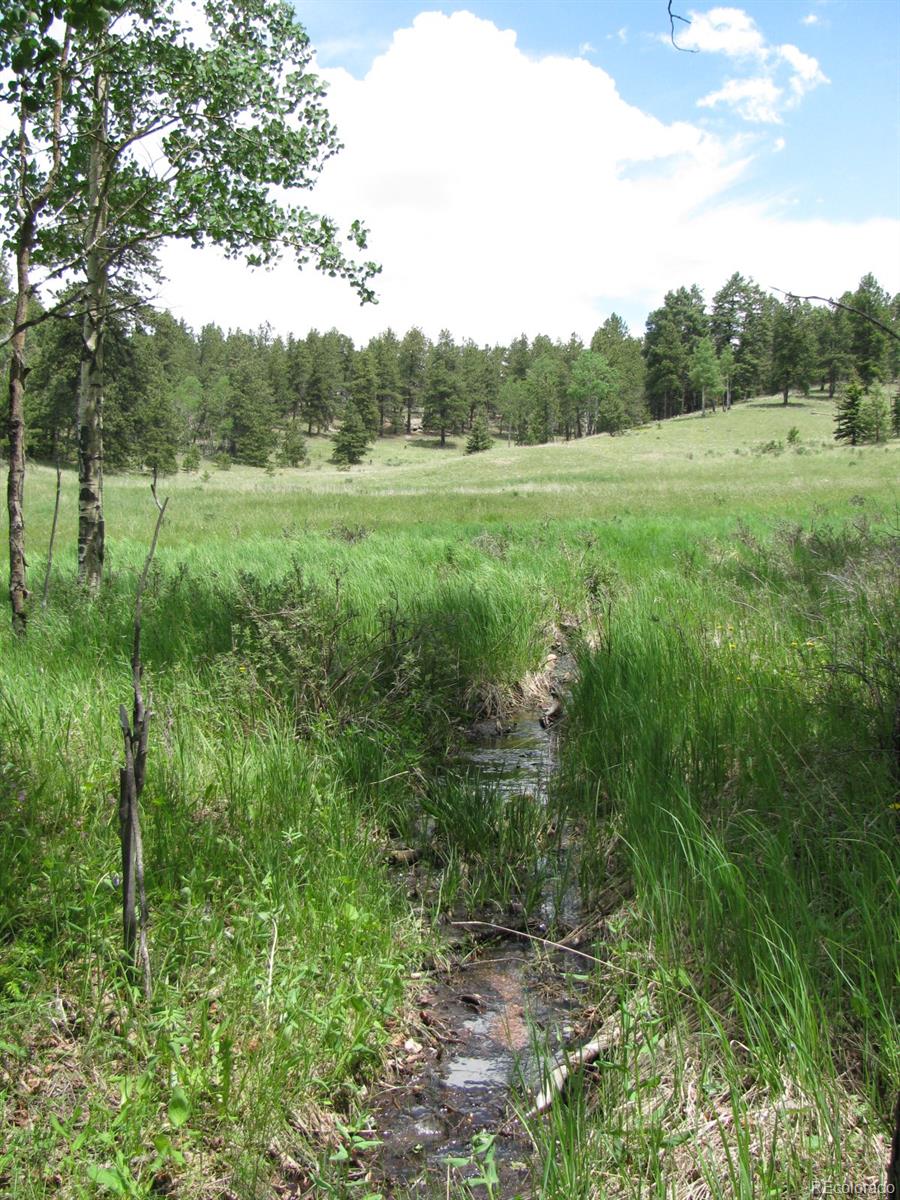 8 Kutsu Ridge Road Florissant, CO 80816 - Photo 17 of 19 Gallery Image 17
