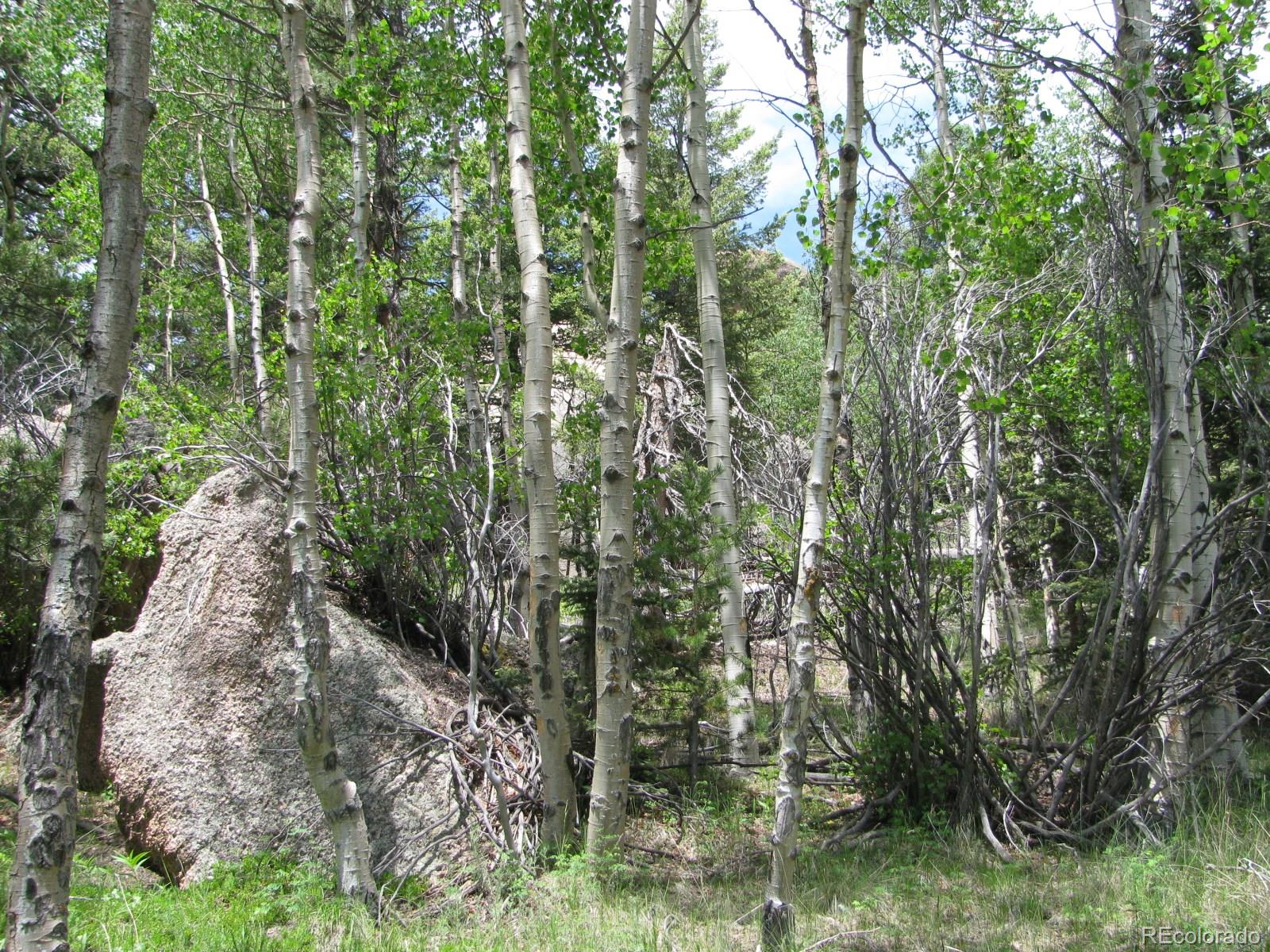 8 Kutsu Ridge Road Florissant, CO 80816 - Photo 18 of 19 Gallery Image 18