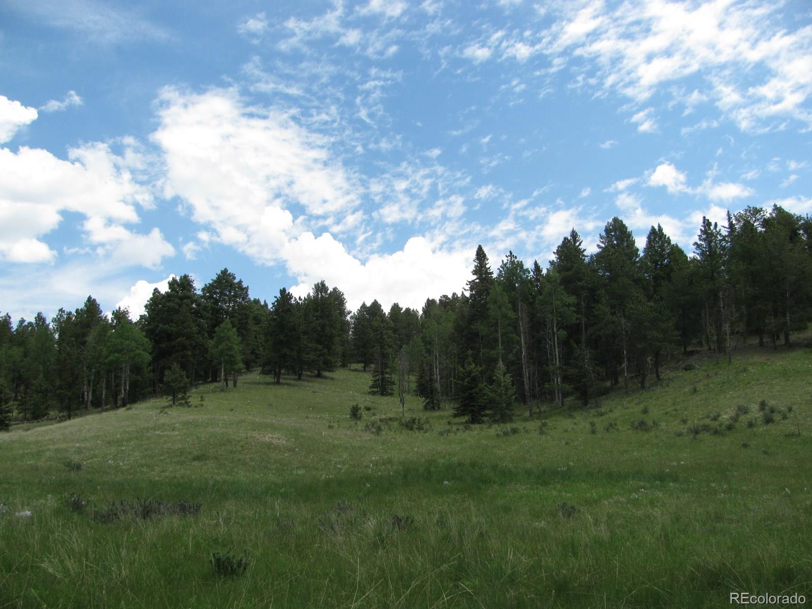 8 Kutsu Ridge Road Florissant, CO 80816 - Photo 19 of 19 Gallery Image 19