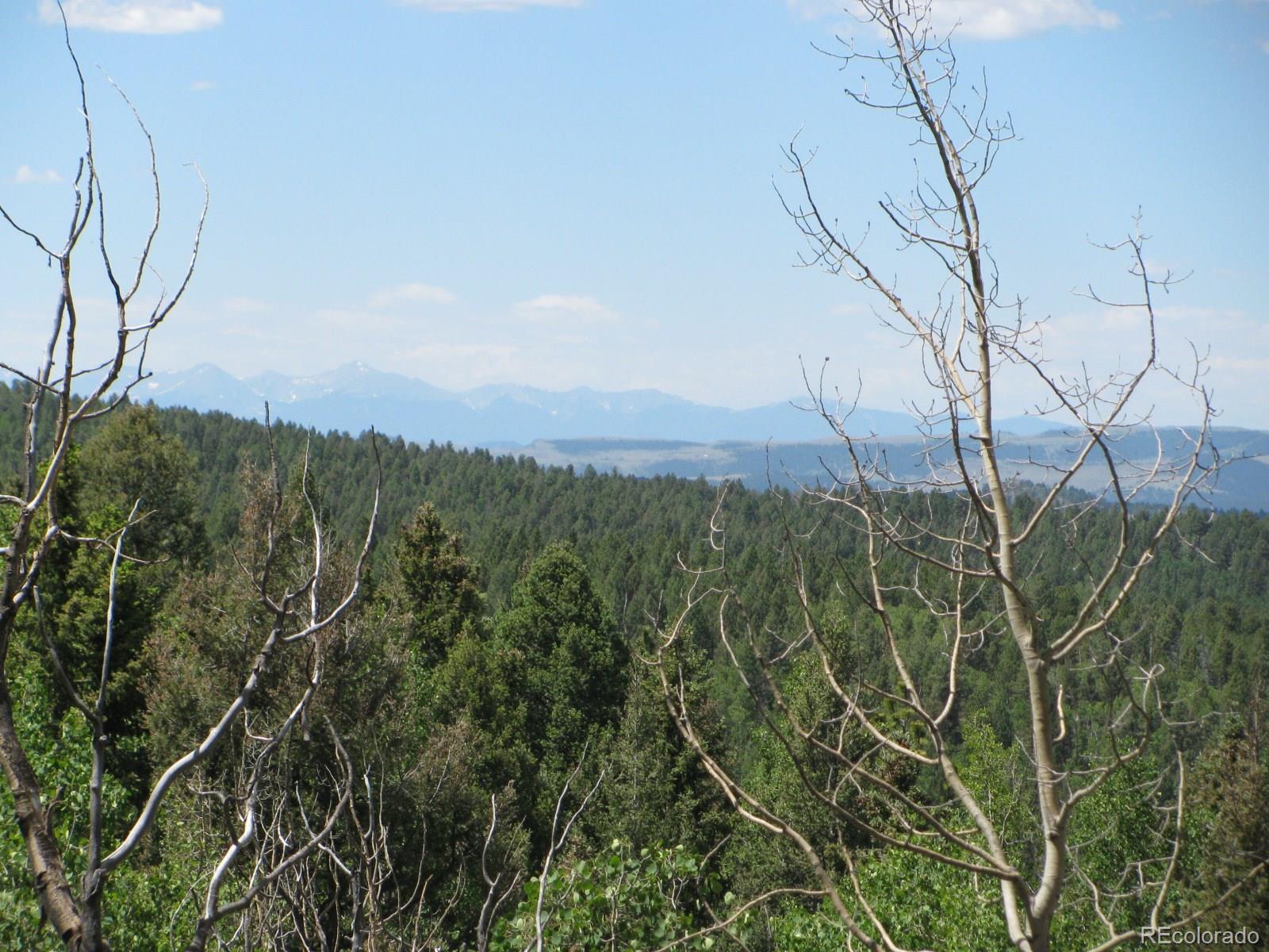 8 Kutsu Ridge Road Florissant, CO 80816 - Photo 2 of 19 Gallery Image 2