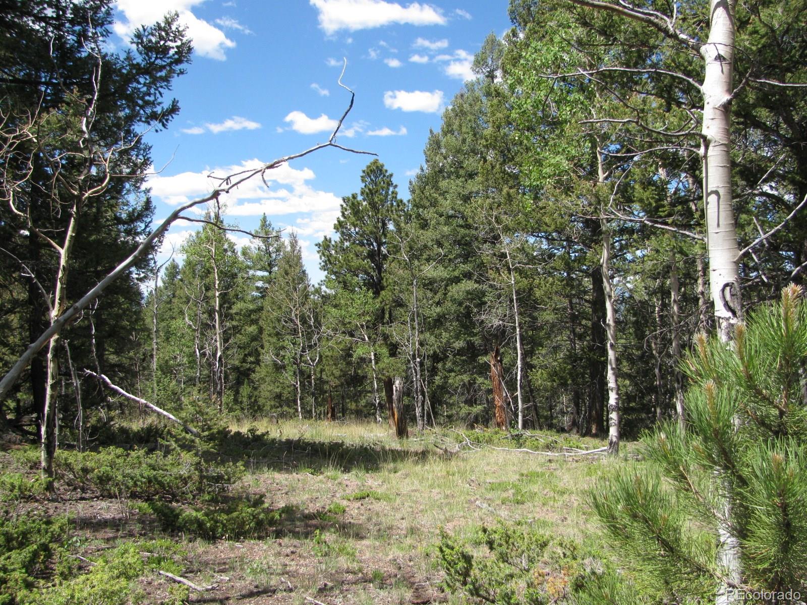 8 Kutsu Ridge Road Florissant, CO 80816 - Photo 3 of 19 Gallery Image 3