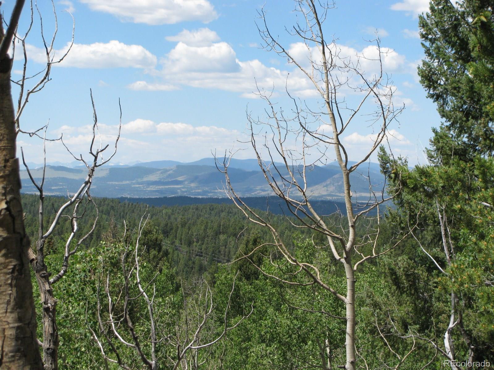 8 Kutsu Ridge Road Florissant, CO 80816 - Photo 4 of 19 Gallery Image 4