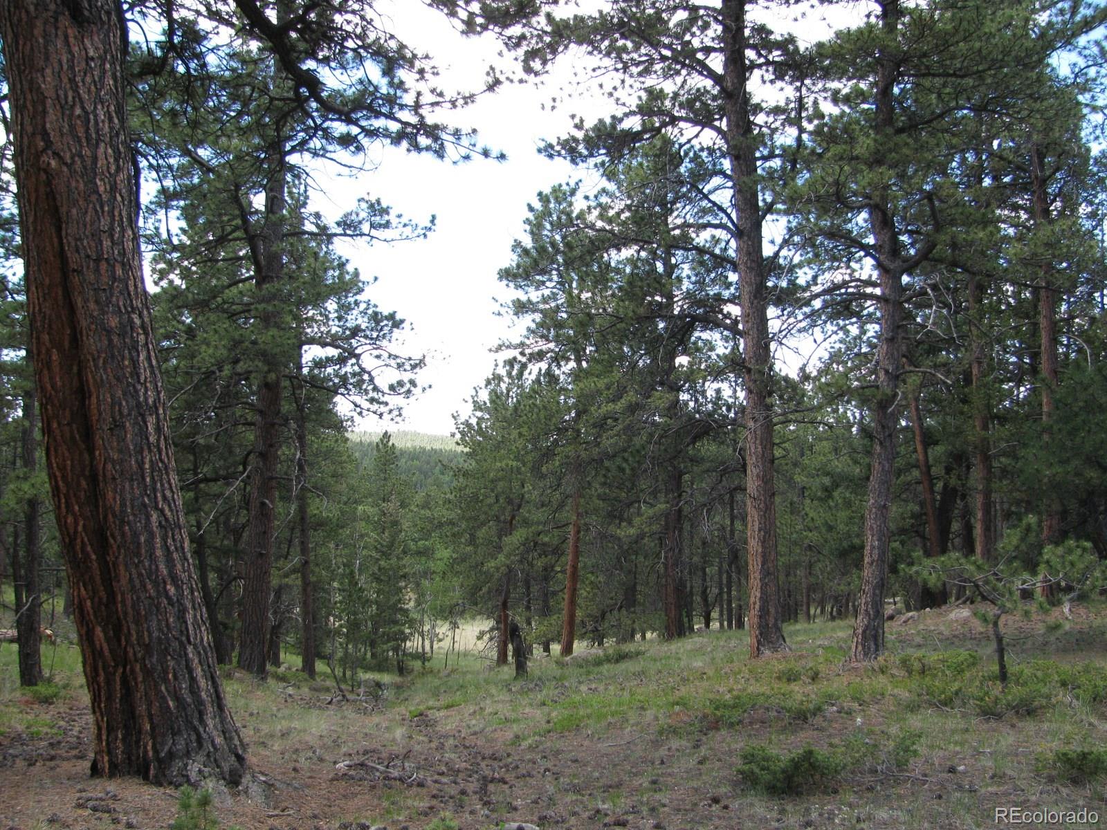 8 Kutsu Ridge Road Florissant, CO 80816 - Photo 5 of 19 Gallery Image 5