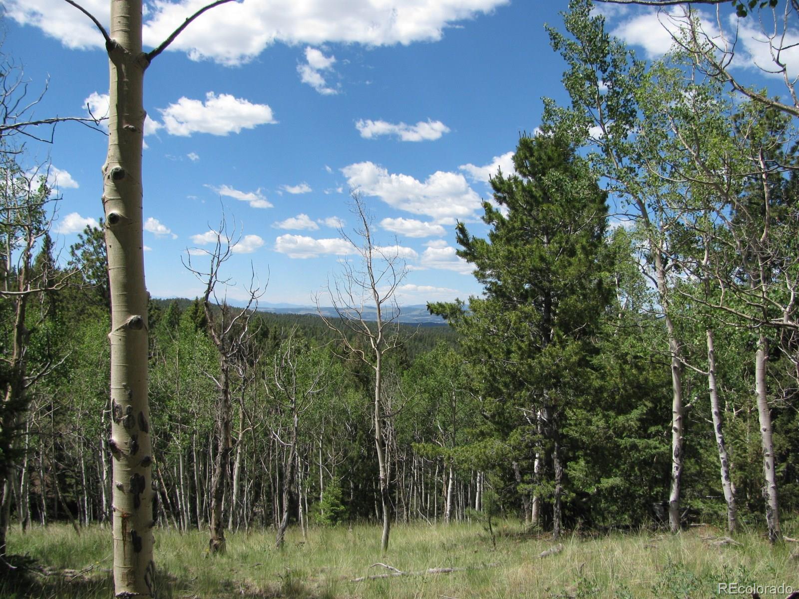 8 Kutsu Ridge Road Florissant, CO 80816 - Photo 6 of 19 Gallery Image 6
