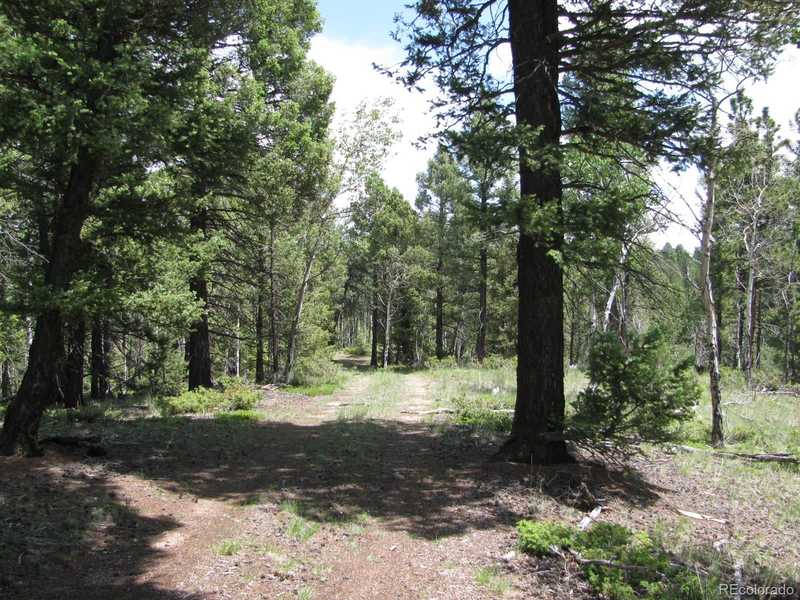 8 Kutsu Ridge Road Florissant, CO 80816 - Photo 7 of 19 Gallery Image 7