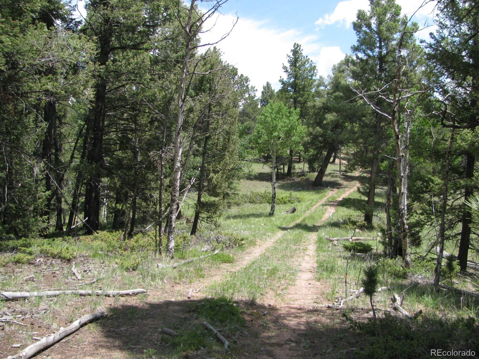 8 Kutsu Ridge Road Florissant, CO 80816 - Photo 8 of 19 Gallery Image 8
