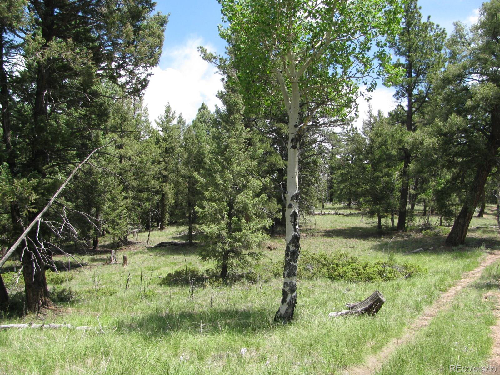 8 Kutsu Ridge Road Florissant, CO 80816 - Photo 10 of 19 Gallery Image 10