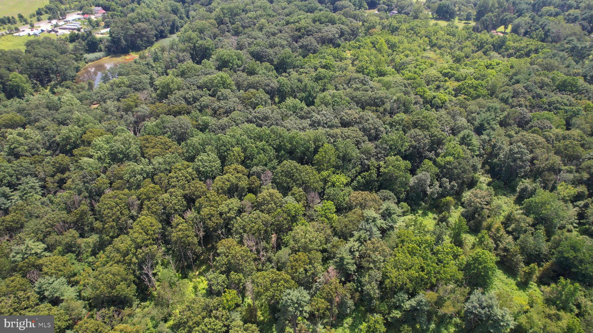 0 Birch Lane Pilesgrove, NJ 08098 - Photo 2 of 6