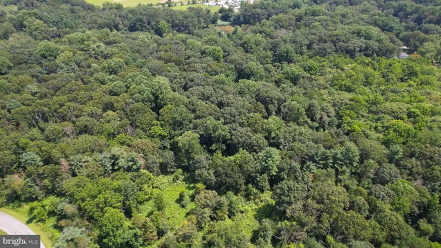view of a city with lush green forest