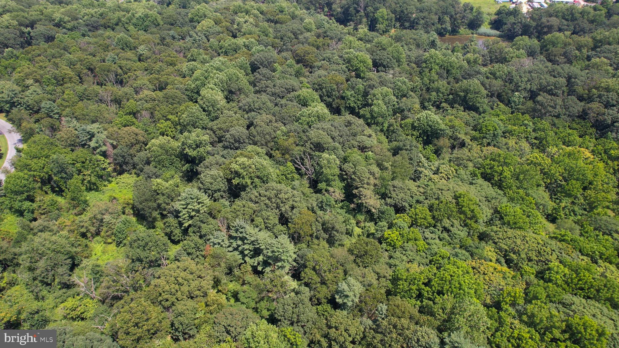 0 Birch Lane Pilesgrove, NJ 08098 - Photo 6 of 6 an aerial view of a houses with a yard