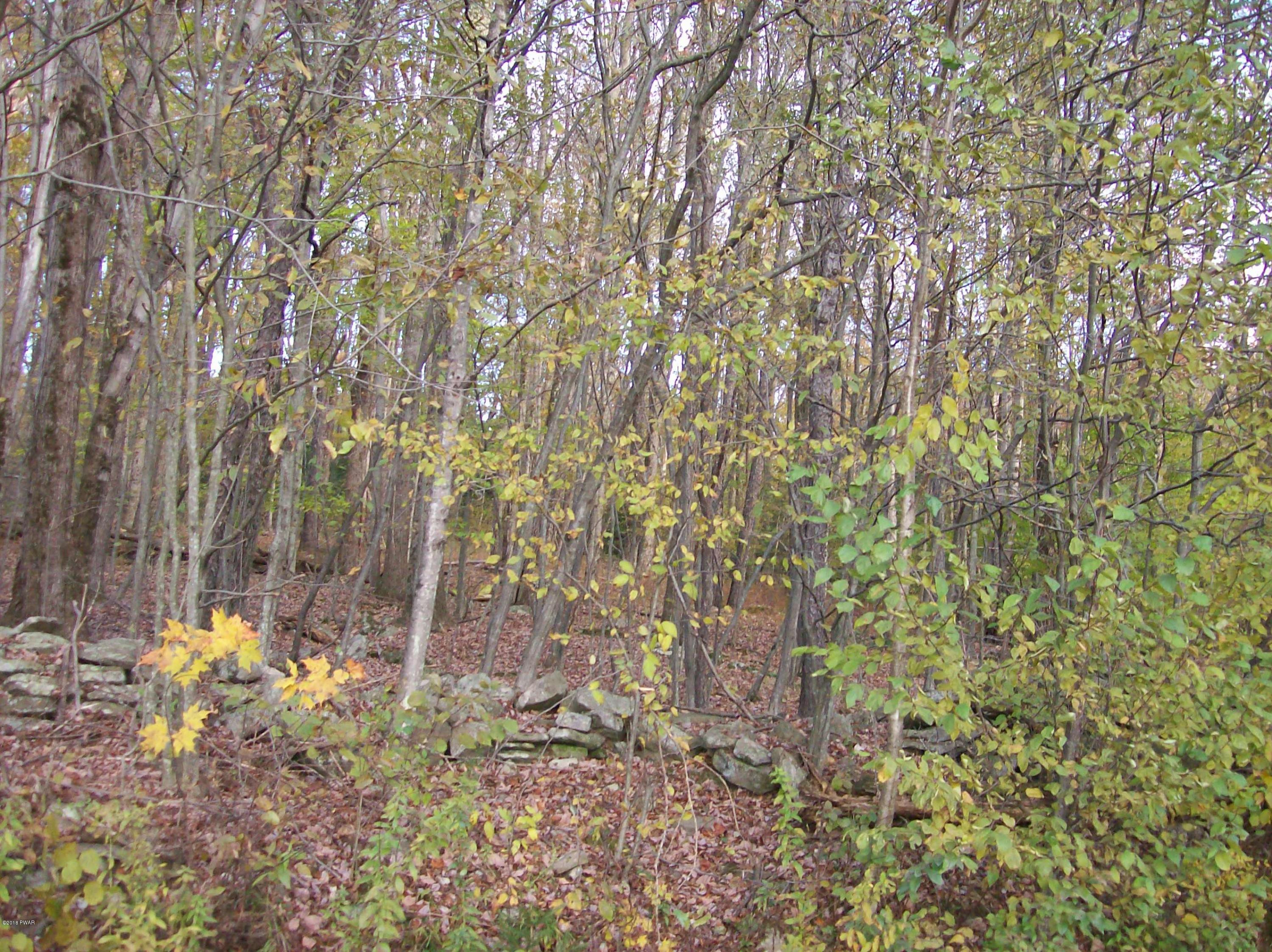 Lot #9 Bunting Road Honesdale, PA 18431 - Photo 5 of 7