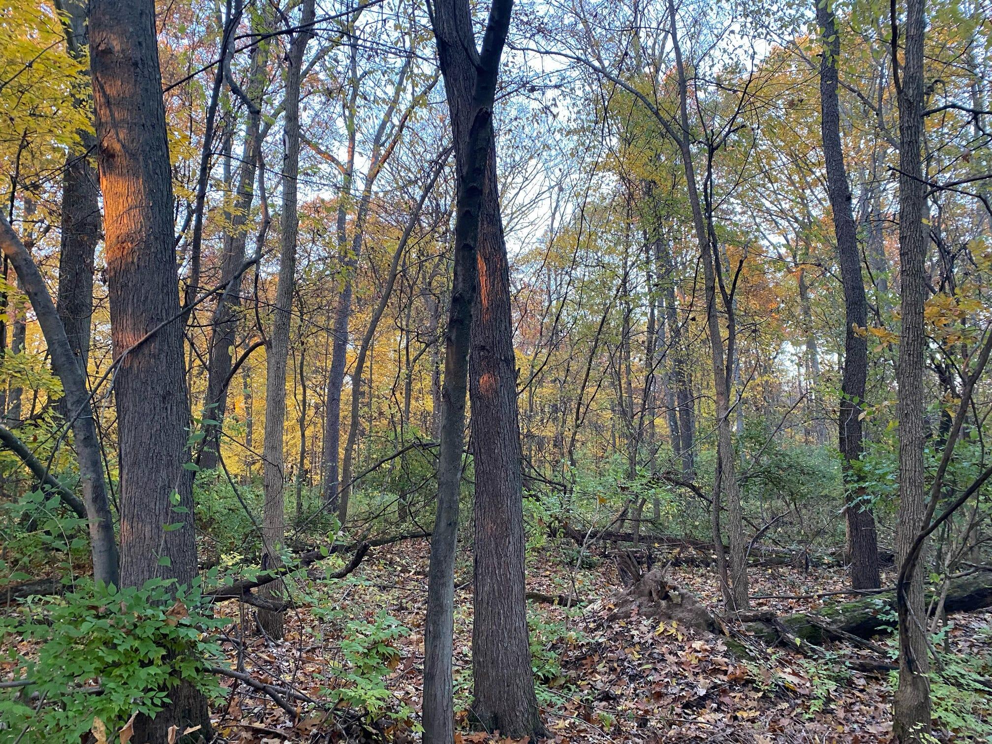 Three Rivers Mi 49093 Drive Three Rivers, MI 49093 - Photo 3 of 11 000050