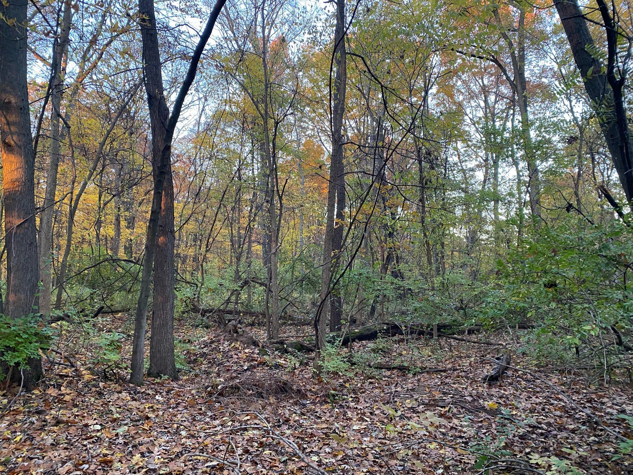 Three Rivers Mi 49093 Drive Three Rivers, MI 49093 - Photo 4 of 11 000049