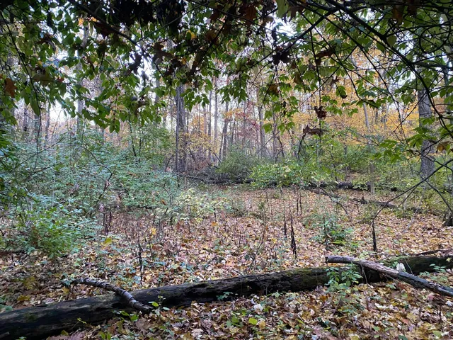 $76,000 | Three Rivers Mi 49093 Drive, Three Rivers, MI 49093